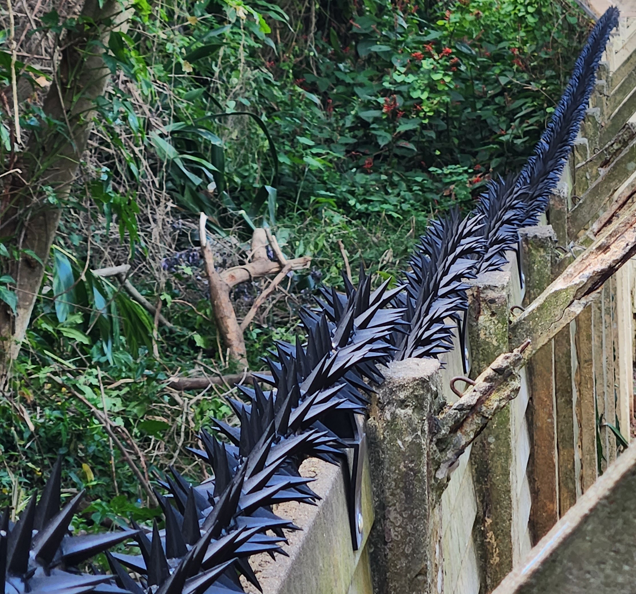 Star security rotating spikes in black single row. 